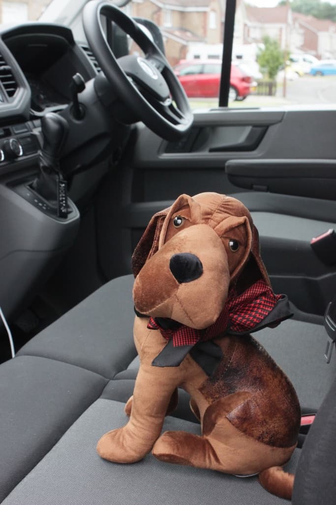 Ready for Adventure - Fox Red ready to explore Scotland